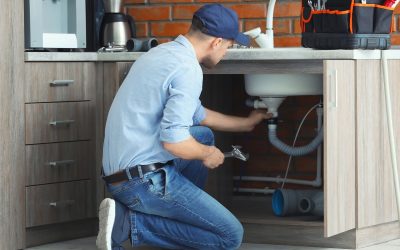 Professional Plumber Fixing Kitchen Sink