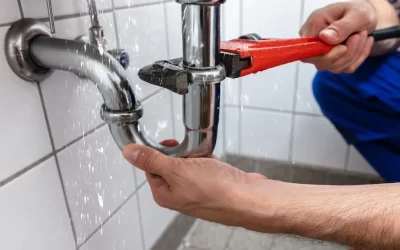 Plumber Repairing Sink Pipe Leakage