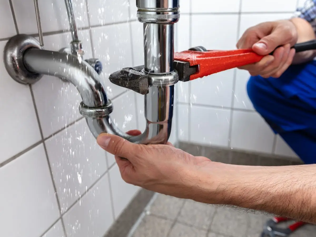 Plumber Repairing Sink Pipe Leakage